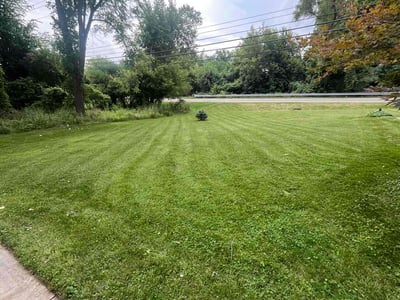 Lawn care service in Southfield, 48033
