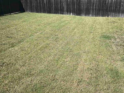 Lawn care service in Fort Worth, 76123