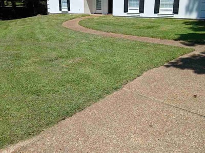 Lawn care service in Ridgeland, 39157