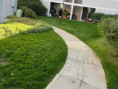 Lawn care service in Aurora, 80012