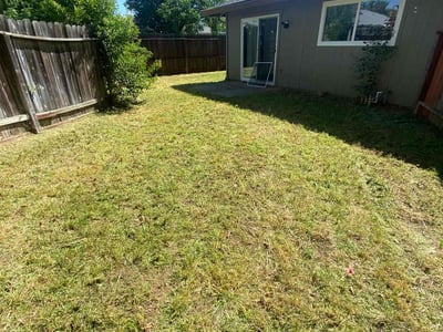 Lawn care service in Sacramento, 95827