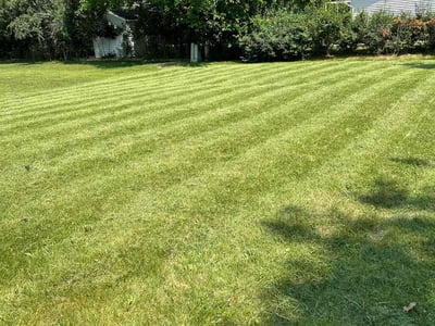 Lawn care service in Milwaukee, 53225