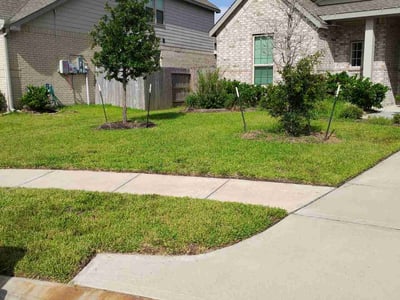 Lawn care service in Rosenberg, 77469