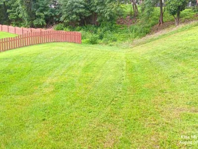 Lawn care service in Roanoke, 24018