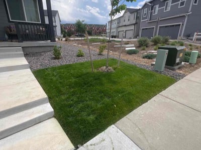 Lawn care service in Parker, 80134