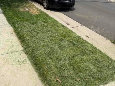 Lawn care service in Commerce City, 80022