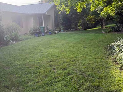 Lawn care service in Asheville, 28804