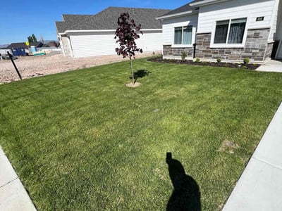 Lawn care service in Layton, 84041
