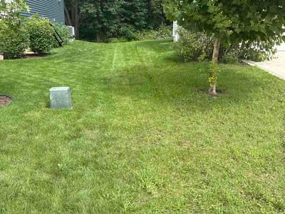 Lawn care service in Portage, 46368