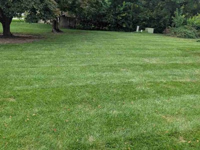 Lawn care service in Indianapolis, 46234