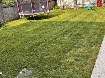 Lawn care service in Chicago, 60656