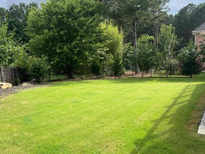 Lawn care service in Buford, 30519