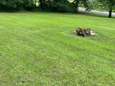 Lawn care service in Stockbridge, 30281