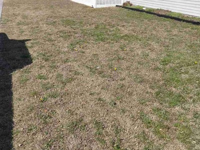 Lawn care service in Myrtle Beach, 29579