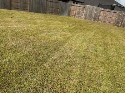 Lawn care service in Harris County, 77493