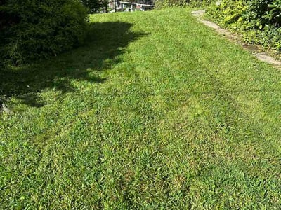 Lawn care service in Pittsburgh, 15202