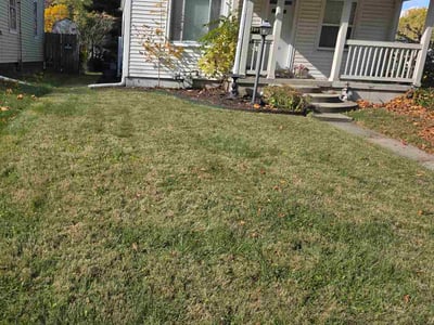 Lawn care service in Indianapolis, 46219