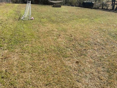 Lawn care service in North Little Rock, 72116