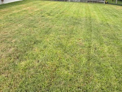 Lawn care service in Spring, 77386