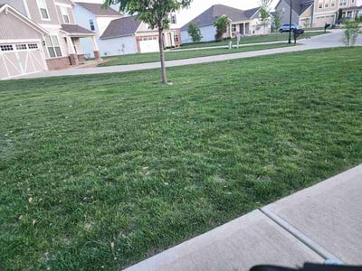 Lawn care service in Avon, 46123