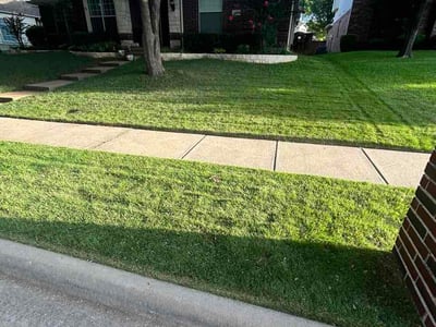 Lawn care service in Richardson, 75082