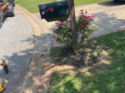 Lawn care service in Simpsonville, 29681