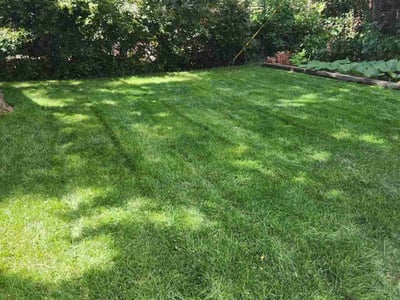 Lawn care service in Northglenn, 80233