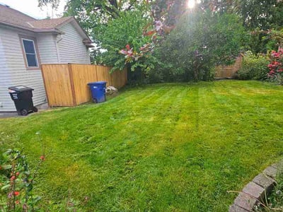 Lawn care service in Seattle, 98133