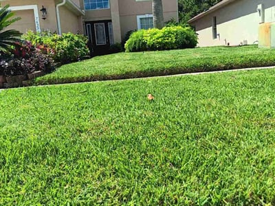 Lawn care service in Yulee, 32097