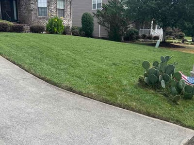 Lawn care service in Clemmons, 27012