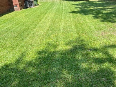Lawn care service in Columbia, 29210