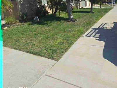 Lawn care service in Menifee, 92585