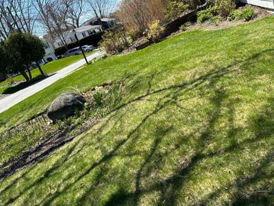 Lawn care service in Warwick, 02886