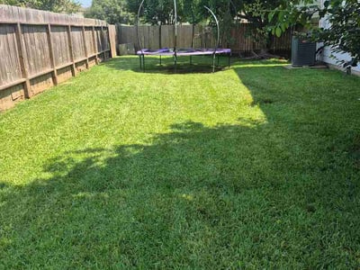 Lawn care service in Houston, 77049