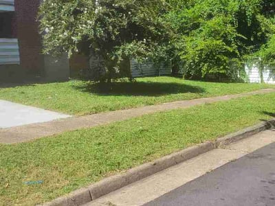 Lawn care service in Norfolk, 23504