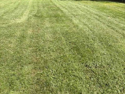 Lawn care service in Bloomington, 47401