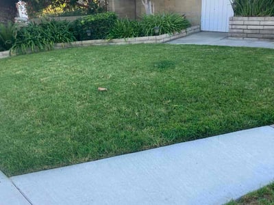 Lawn care service in Lakewood, 90715