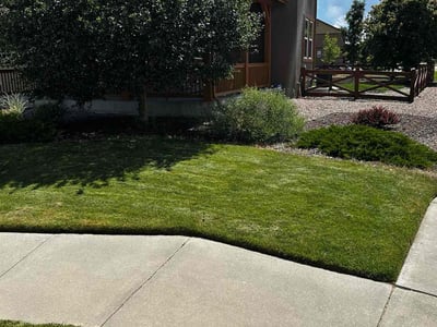 Lawn care service in Colorado Springs, 80927