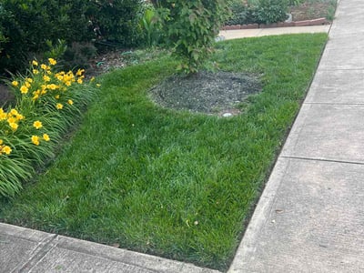 Lawn care service in Woodbridge, 22191