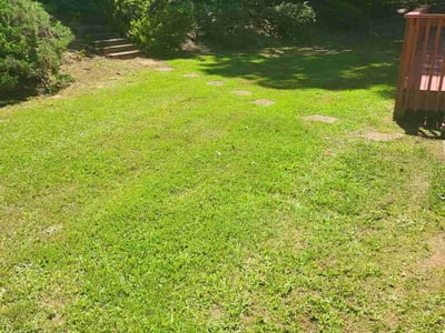 Lawn care service in Stone Mountain, 30087