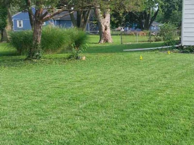Lawn care service in Raytown, 64138