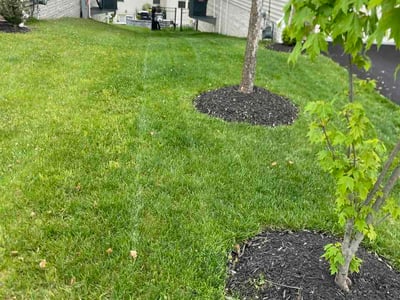 Lawn care service in Ellicott City, 21043