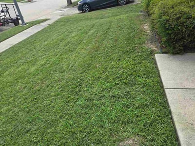 Lawn care service in Fort Worth, 76108