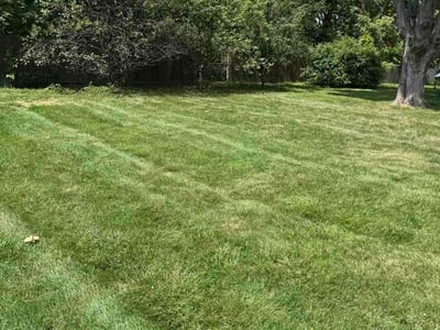 Lawn care service in Lansing, 48911