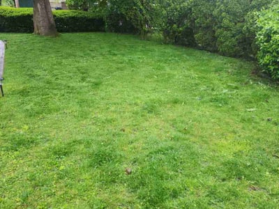 Lawn care service in Hawthorne, 10532