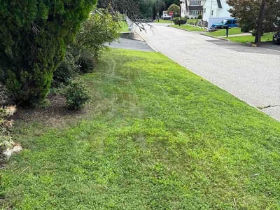 Lawn care service in Woodland Park, 07424