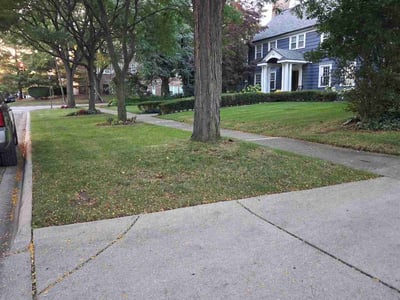 Lawn care service in Birmingham, 48009