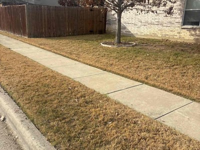 Lawn care service in Fort Worth, 76244