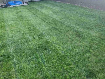 Lawn care service in Fargo, 58104