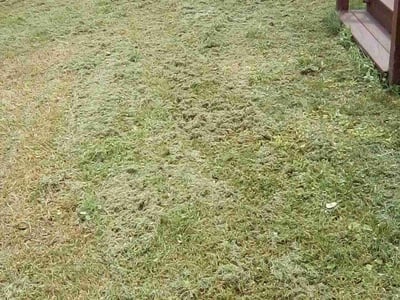 Lawn care service in Chesapeake, 23320